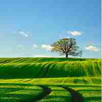 高﻿效‍内‌容‍生﻿成‌服﻿务‍